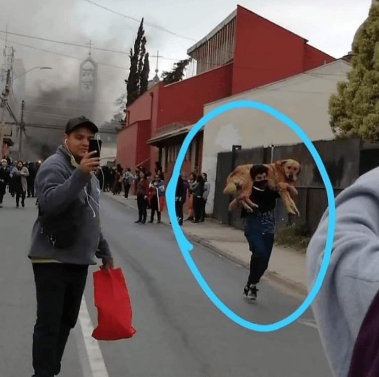 Homens carregam cães, para salvá-los de gás lacrimogênio no Chile